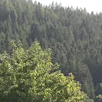 Vakantiewoning Evalisa
