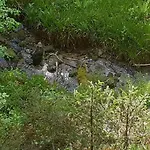 Vakantiewoning Evalisa Apartamento *