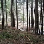 Vakantiewoning Evalisa * Willingen (Upland)