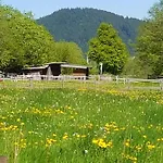 Vakantiewoning Evalisa Lejlighed
