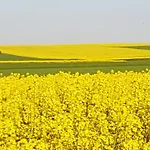 Vakantiewoning Evalisa Apartamento Willingen (Upland)