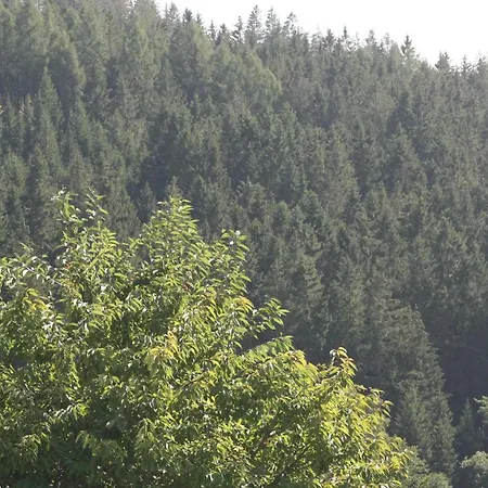 Vakantiewoning Evalisa