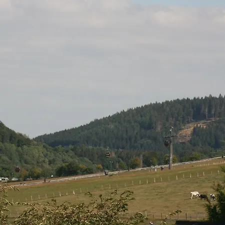 Apartmán Vakantiewoning Evalisa Willingen (Upland)