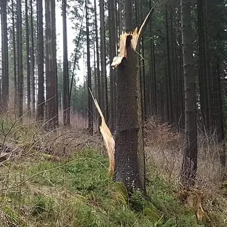 Apartmán Vakantiewoning Evalisa