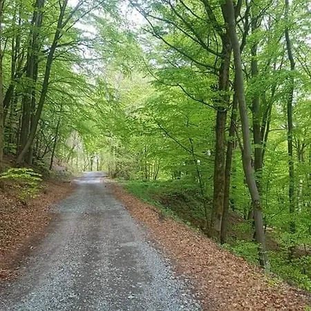 Vakantiewoning Evalisa Apartmán