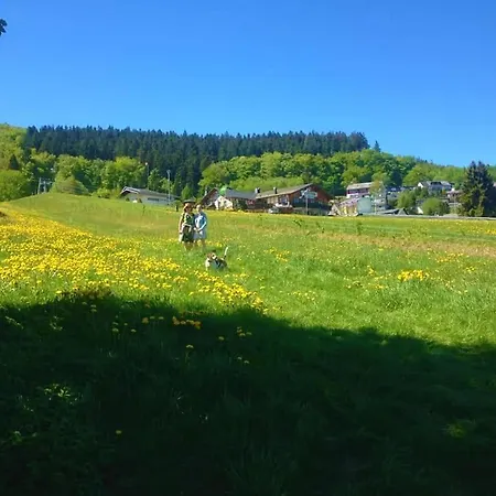 Apartmán Vakantiewoning Evalisa Willingen (Upland)