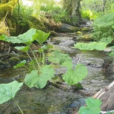 Apartmán Vakantiewoning Evalisa