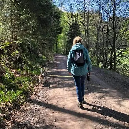 Vakantiewoning Evalisa Apartmán Willingen (Upland)