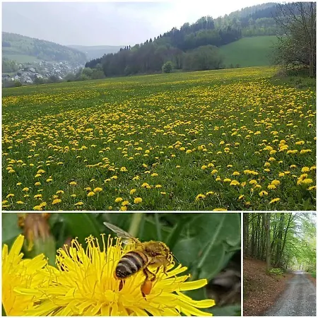 Vakantiewoning Evalisa *