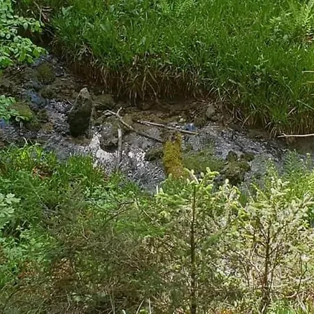 Vakantiewoning Evalisa Apartmán *