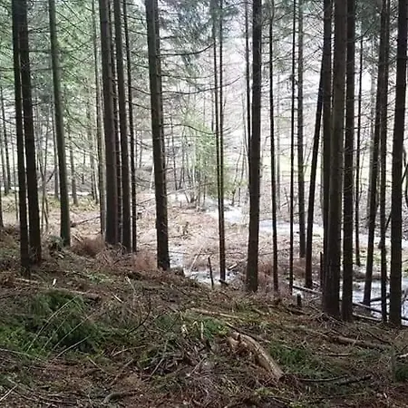 Vakantiewoning Evalisa * Willingen (Upland)