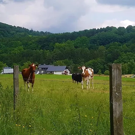 Apartmán Vakantiewoning Evalisa Willingen (Upland)