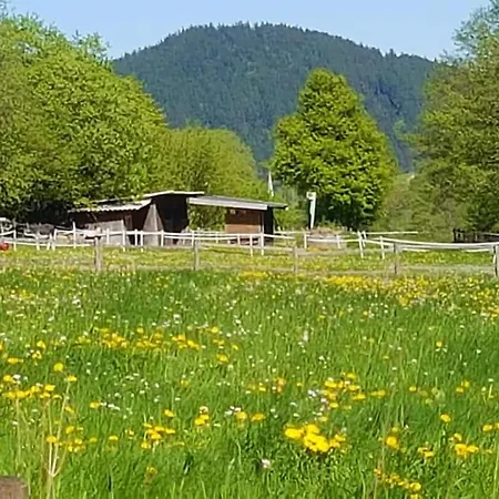 Vakantiewoning Evalisa Apartmán