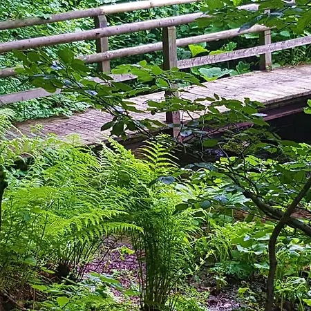 Vakantiewoning Evalisa Apartmán