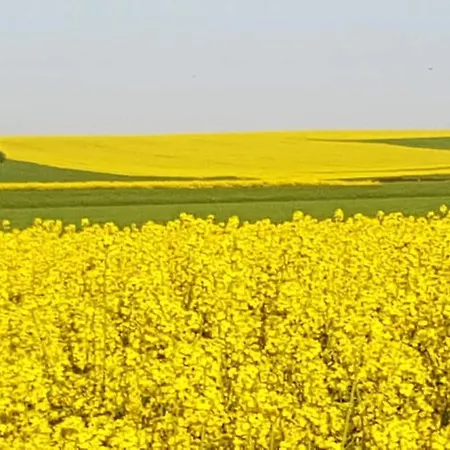 Vakantiewoning Evalisa Apartmán Willingen (Upland)