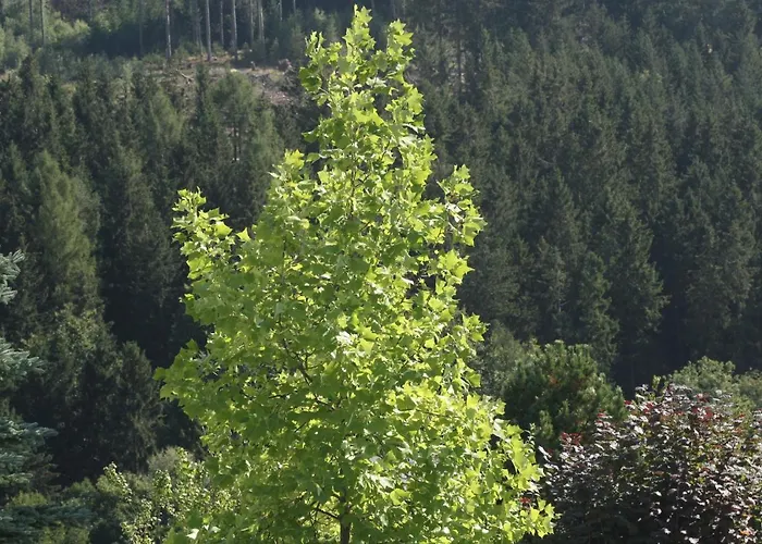 Vakantiewoning Evalisa * Виллинген