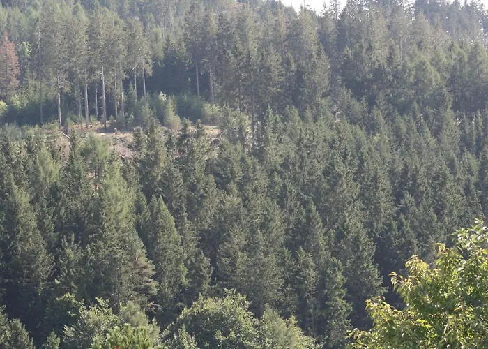 Vakantiewoning Evalisa Апартаменты *