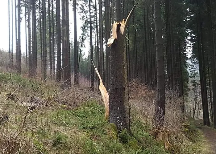 Апартаменты Vakantiewoning Evalisa