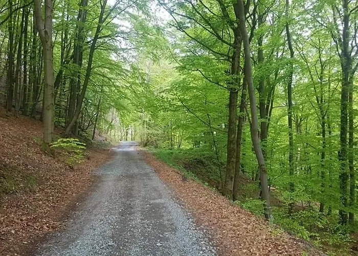 Vakantiewoning Evalisa Апартаменты