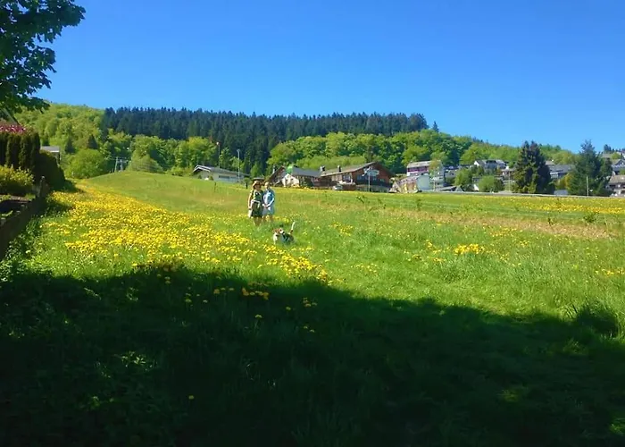 Апартаменты Vakantiewoning Evalisa Виллинген