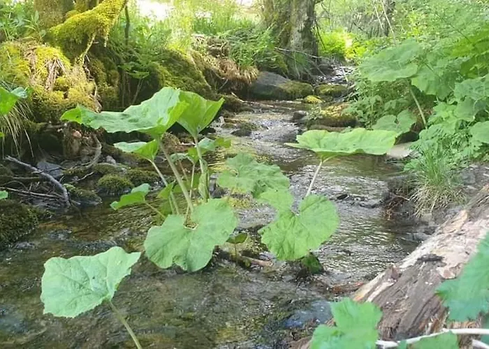 Апартаменты Vakantiewoning Evalisa