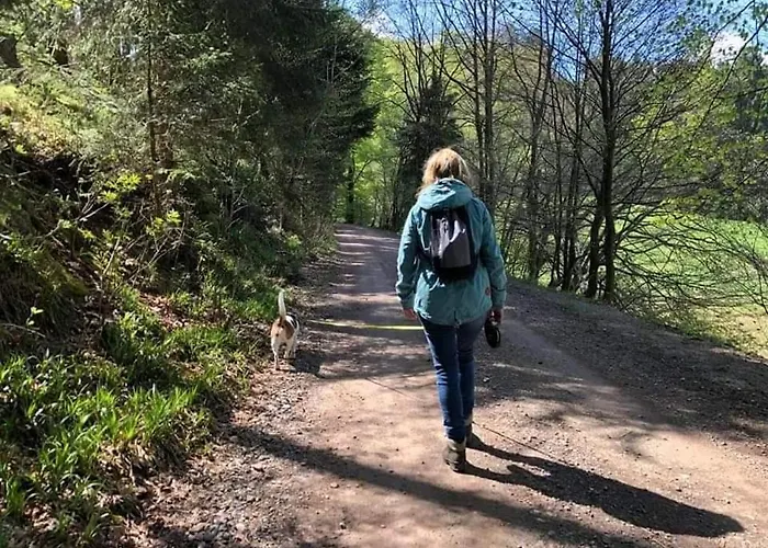 Vakantiewoning Evalisa Апартаменты Виллинген