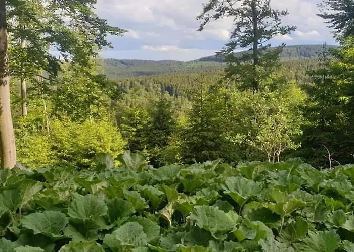 Vakantiewoning Evalisa Апартаменты