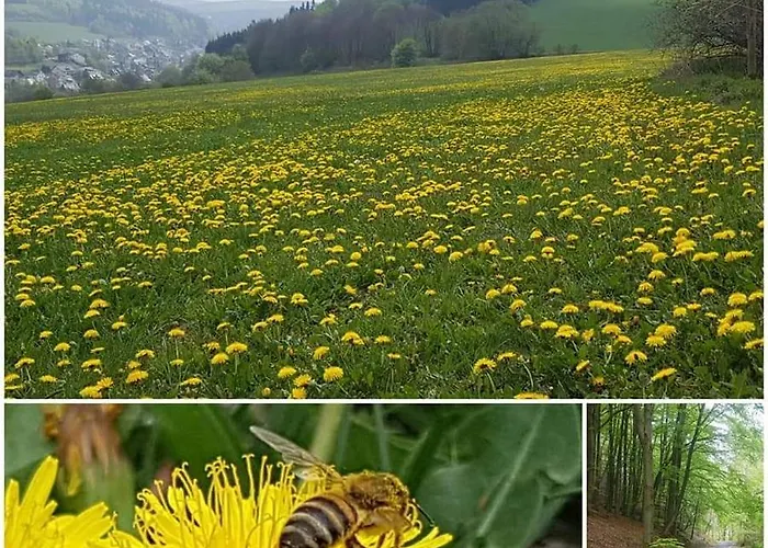 Vakantiewoning Evalisa *