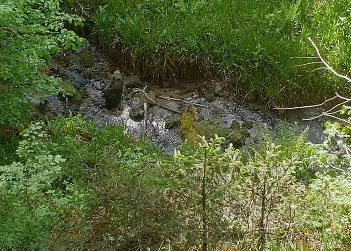 Vakantiewoning Evalisa Апартаменты *