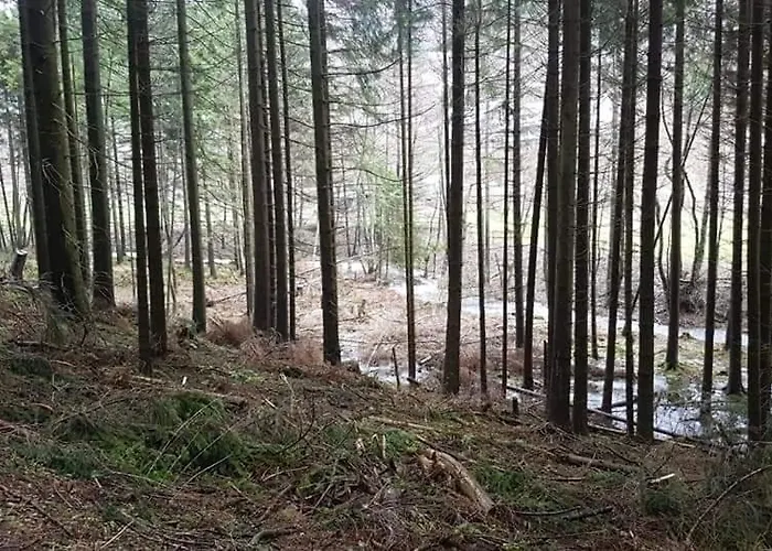 Vakantiewoning Evalisa * Виллинген