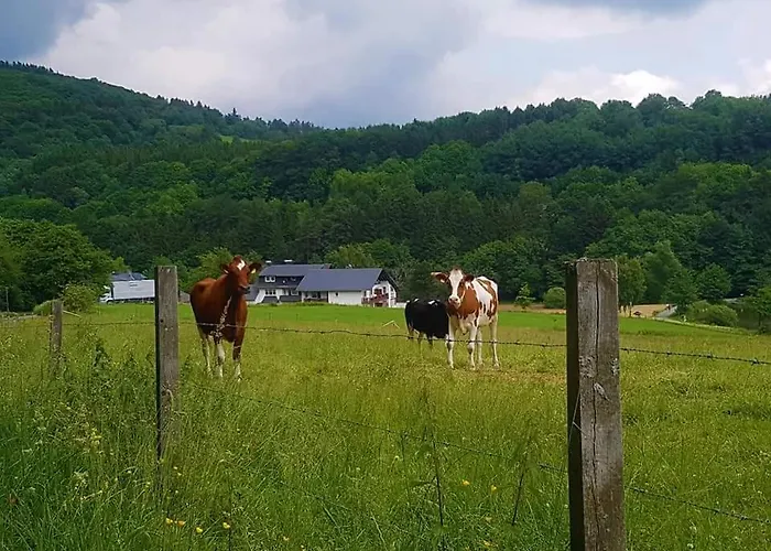 Апартаменты Vakantiewoning Evalisa Виллинген