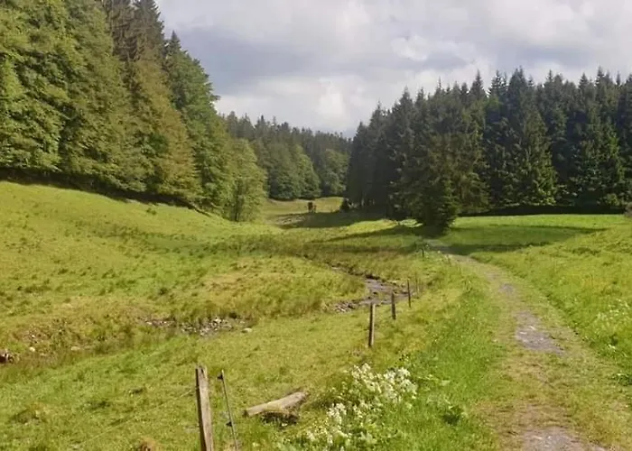 Vakantiewoning Evalisa *