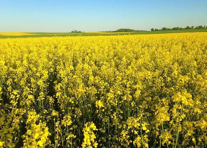 Vakantiewoning Evalisa * Виллинген