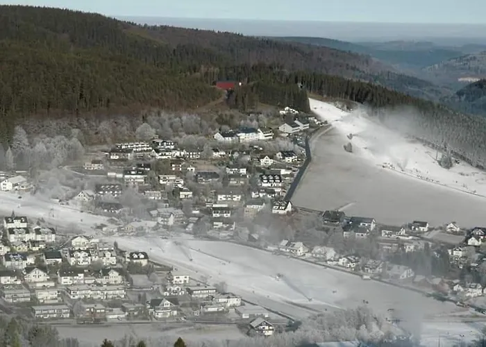 Vakantiewoning Evalisa * Виллинген