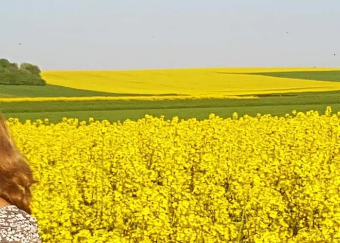 Vakantiewoning Evalisa Апартаменты Виллинген